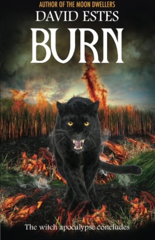 Book cover for "Burn" by David Estes