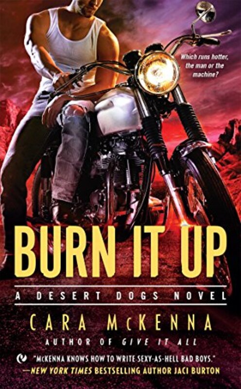Book cover for "Burn It Up" by Cara McKenna