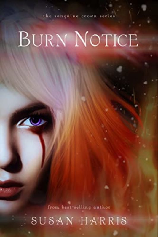 Book cover for "Burn Notice" by Susan Harris