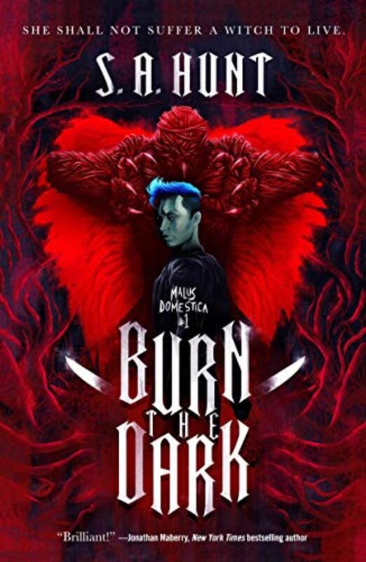 Book cover for "Burn the Dark" by SA Hunt