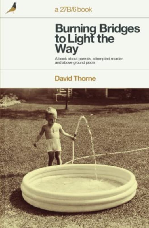 David Thorne book cover
