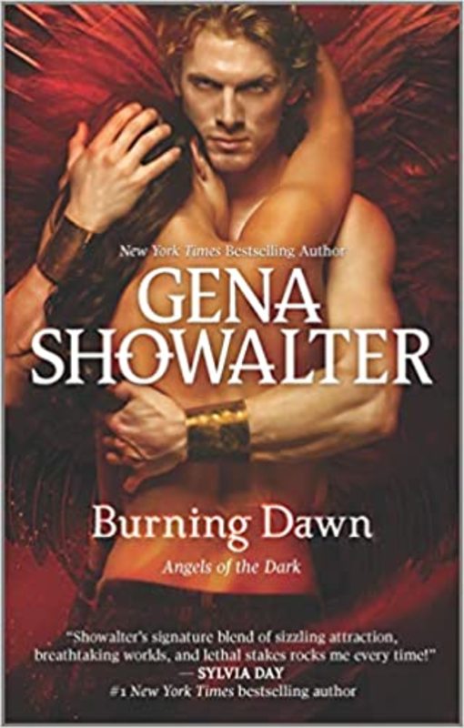 Angels of the Dark book cover