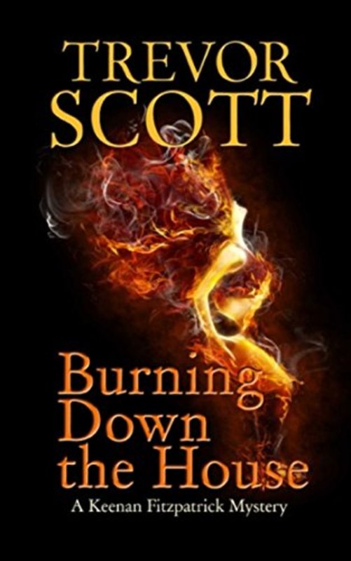 Book cover for "Burning Down the House" by Trevor Scott