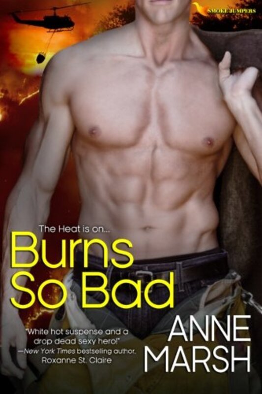 Book cover for "Burns So Bad" by Anne Marsh