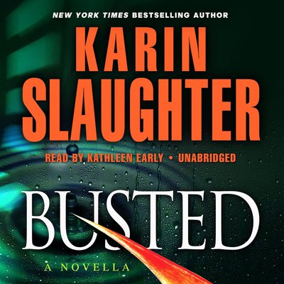 Book cover for "Busted" by Karin Slaughter