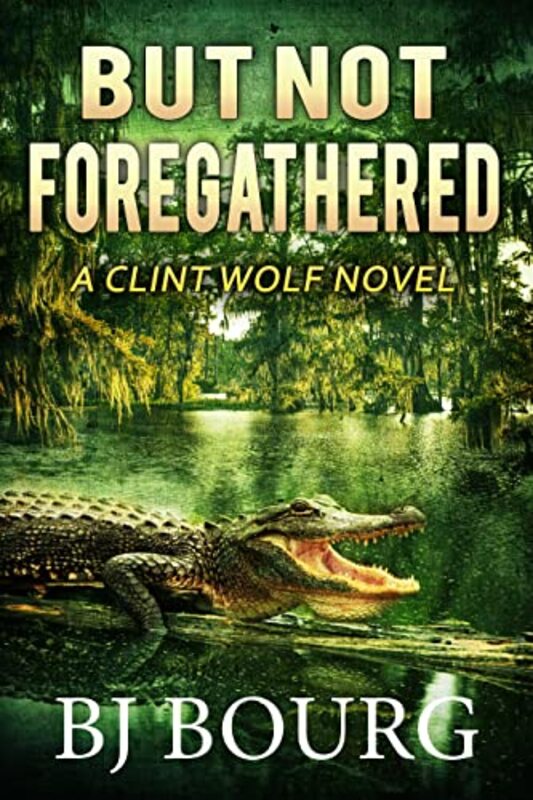Clint Wolf Mystery book cover