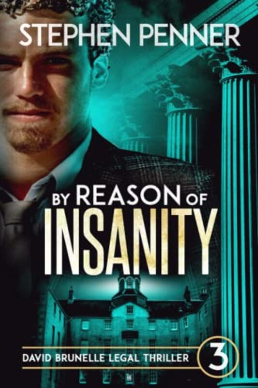 Book cover for "By Reason of Insanity" by Stephen Penner