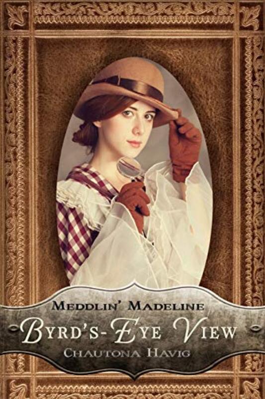 Book cover for "Byrd's-Eye View" by Chautona Havig
