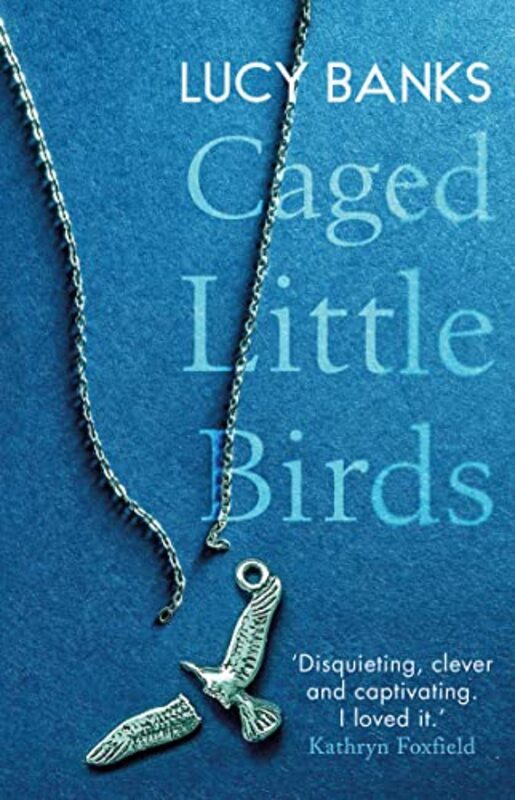 Lucy Banks book cover