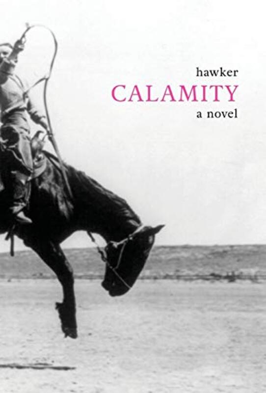 Libbie Hawker book cover