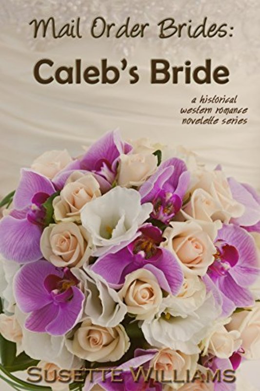 Book cover for "Caleb's Bride" by Susette Williams