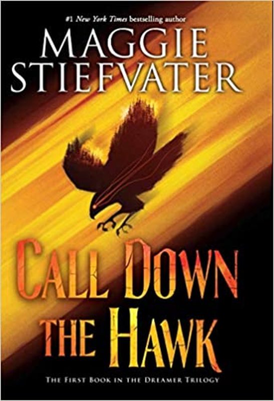 Book cover for "Call Down the Hawk" by Maggie Stiefvater