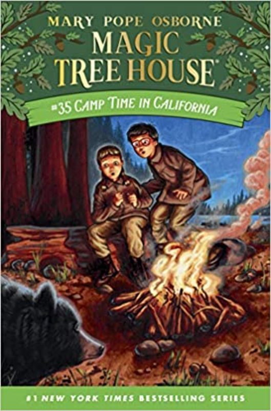 Magic Tree House book cover