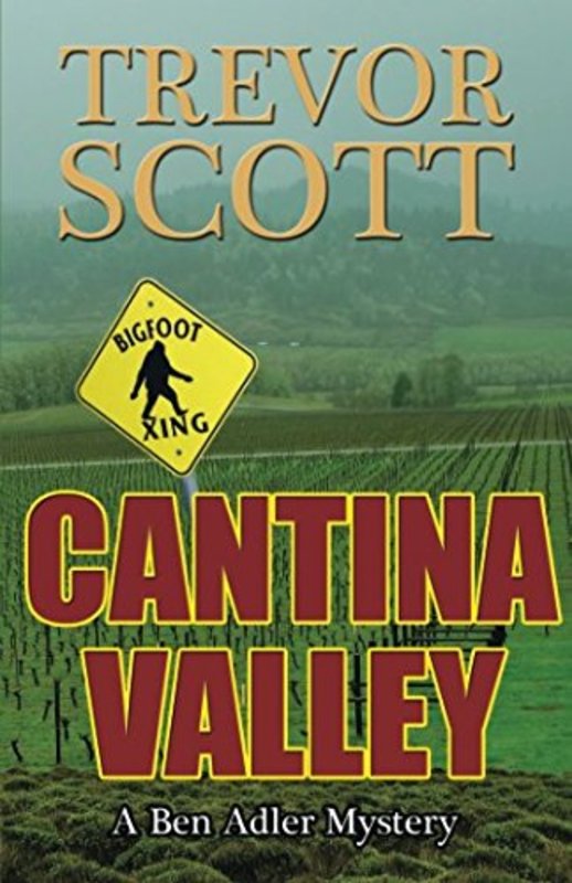 Book cover for "Cantina Valley" by Trevor Scott