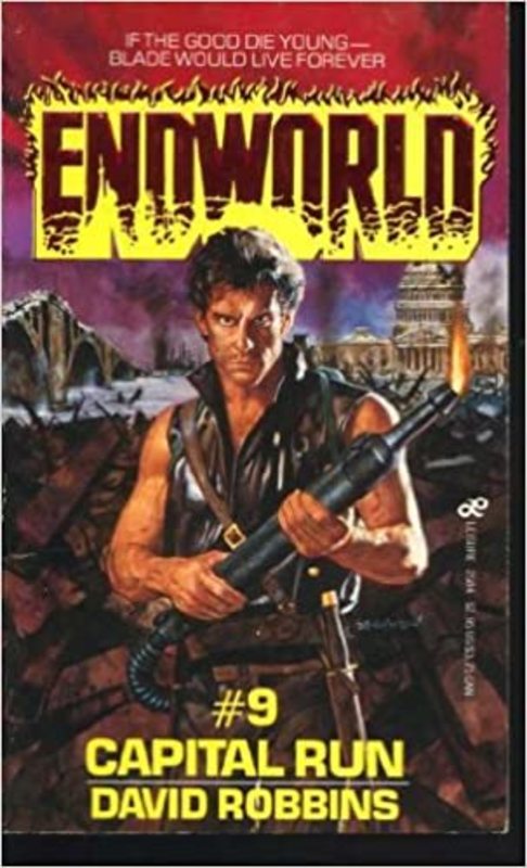 Book cover for "Capital Run" by David Robbins