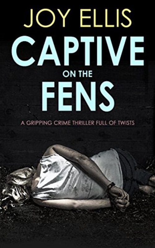 Book cover for "Captive on the Fens" by Joy Ellis