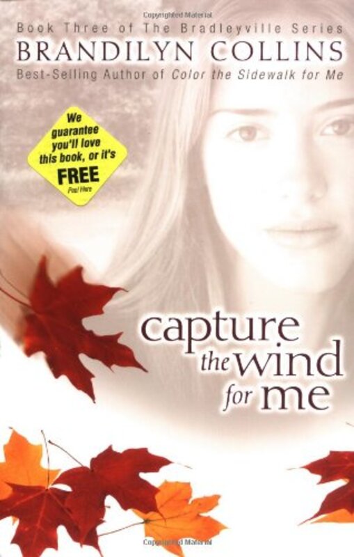 Book cover for "Capture the Wind for Me" by Brandilyn Collins