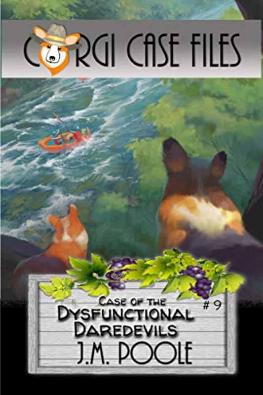 Book cover for "Case of the Dysfunctional Daredevils" by Jeffrey M Poole