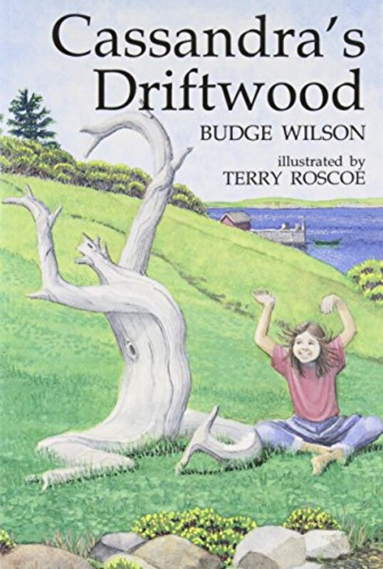 Book cover for "Cassandra's Driftwood" by Budge Wilson
