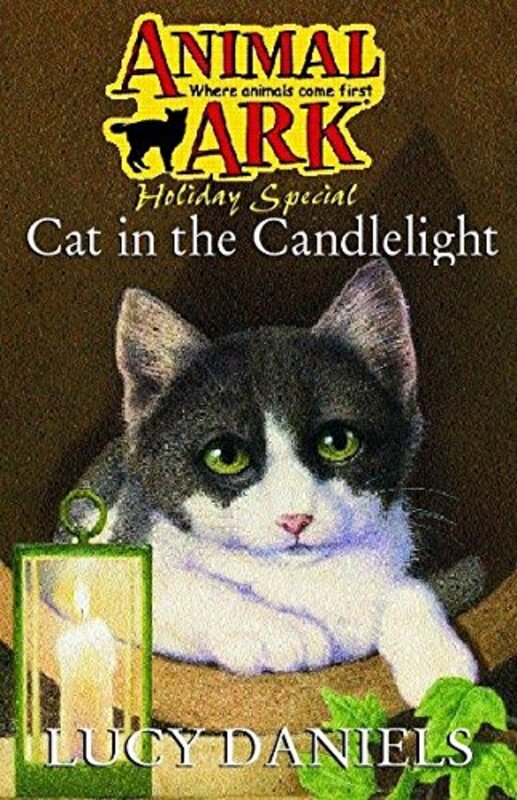 Book cover for "Cat in the Candlelight" by Lucy Daniels