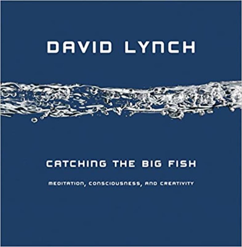 Book cover for "Catching the Big Fish" by David Lynch
