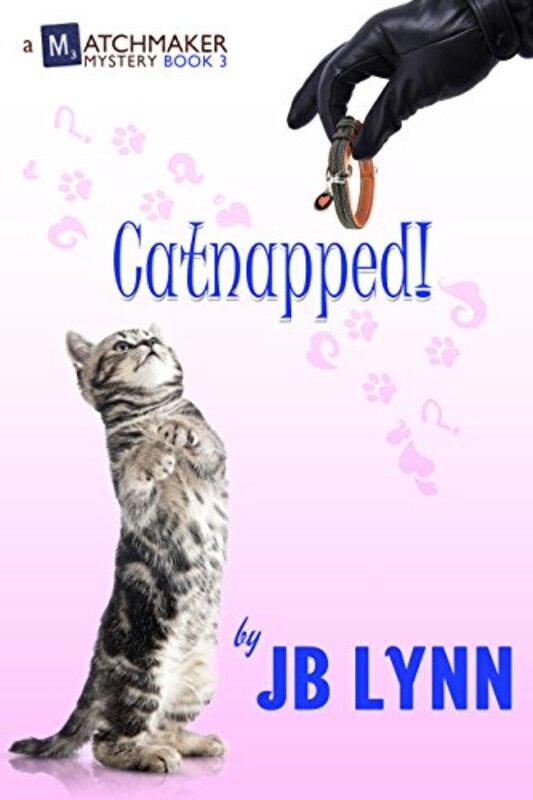 Book cover for "Catnapped!" by JB Lynn