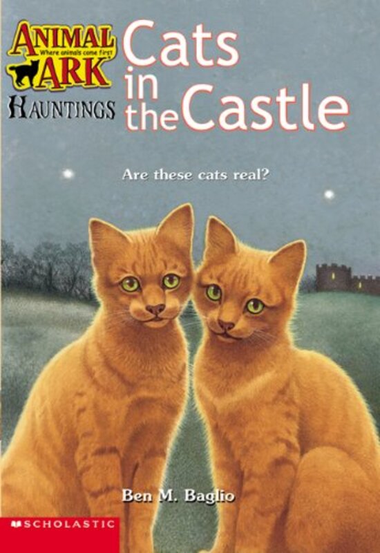 Animal Ark Hauntings book cover