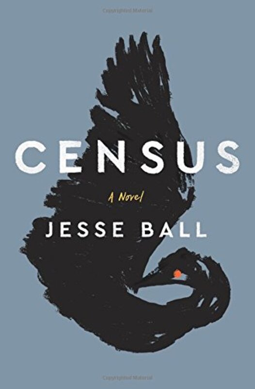 Jesse Ball book cover
