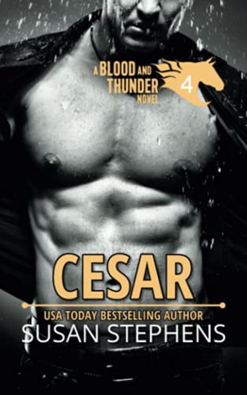 Susan Stephens book cover