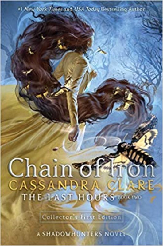 The Last Hours book cover
