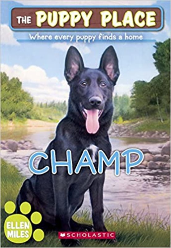 Book cover for "Champ" by Ellen Miles