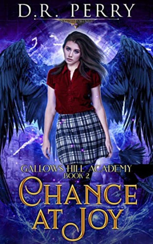 Book cover for "Chance At Joy" by DR Perry