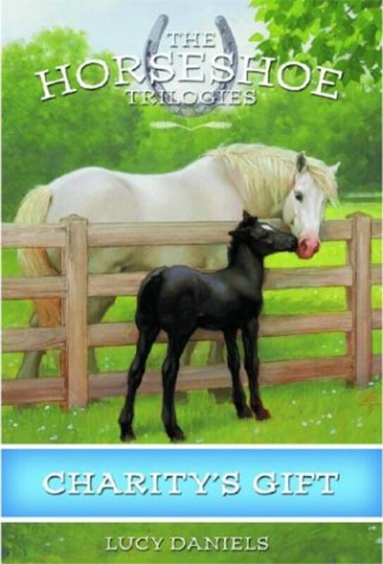 Book cover for "Charity's Gift" by Lucy Daniels