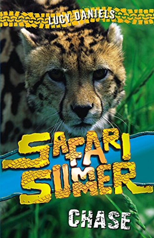 Safari Summer book cover