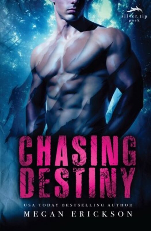 Book cover for "Chasing Destiny" by Megan Erickson