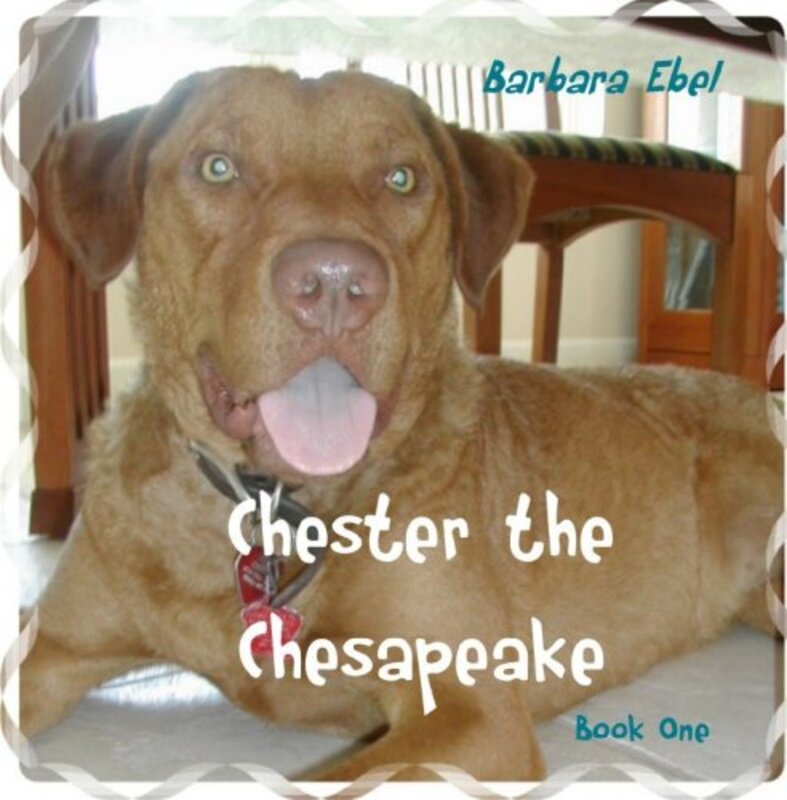 Book cover for "Chester The Chesapeake" by Barbara Ebel