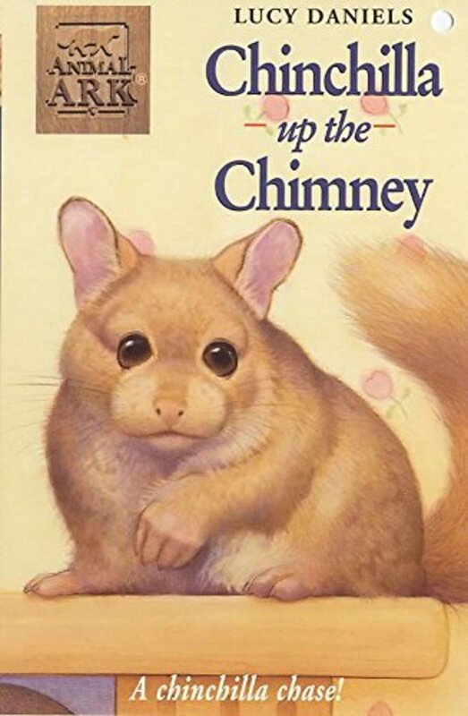 Book cover for "Chinchilla Up the Chimney" by Lucy Daniels