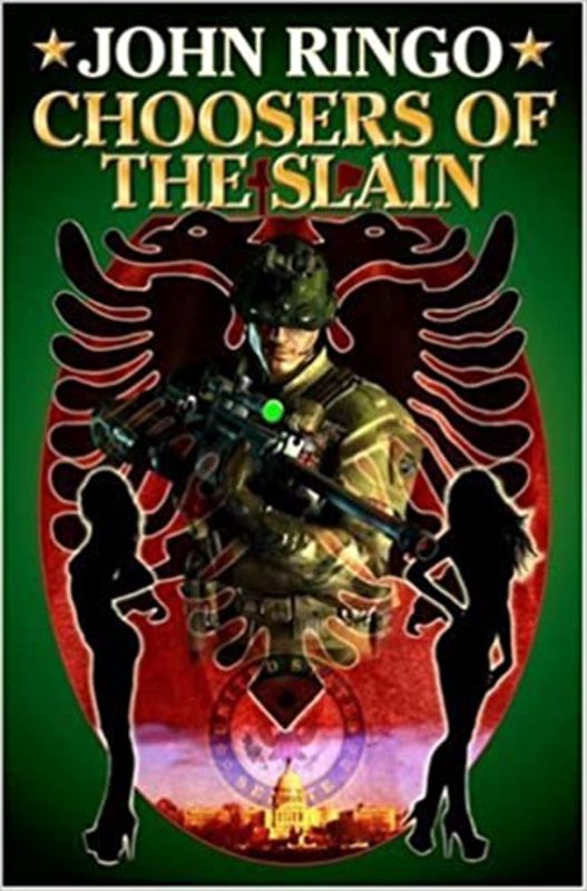 Paladin of Shadows book cover
