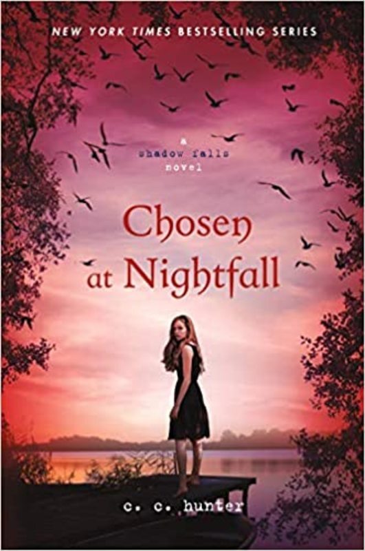 Book cover for "Chosen at Nightfall" by Christie Craig