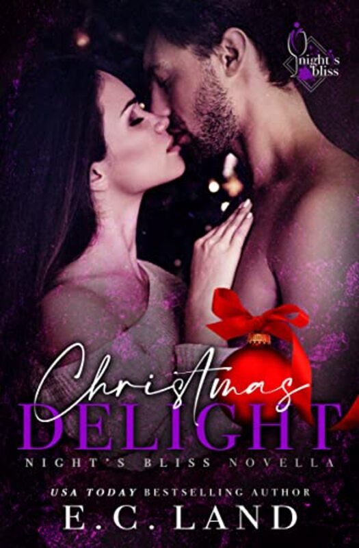 Book cover for "Christmas Delight" by EC Land