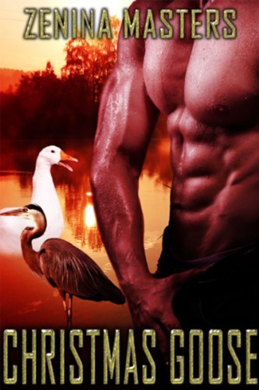 Book cover for "Christmas Goose" by Viola Grace