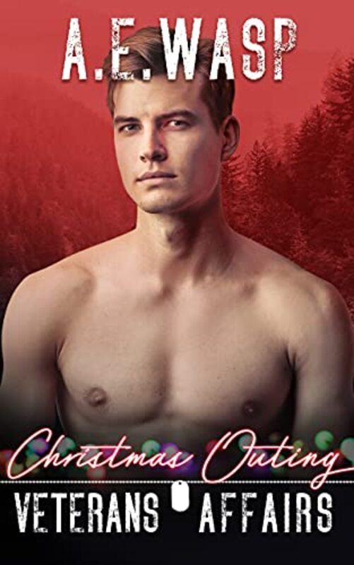 Book cover for "Christmas Outing" by AE Wasp