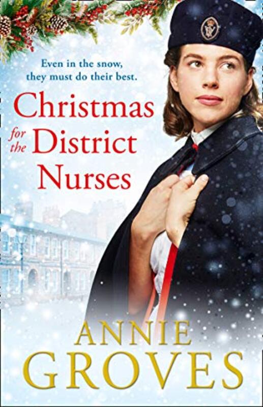 Annie Groves book cover