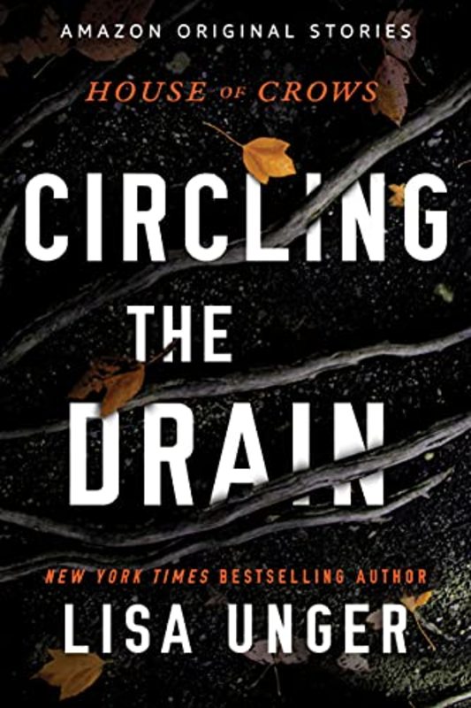 Lisa Unger book cover