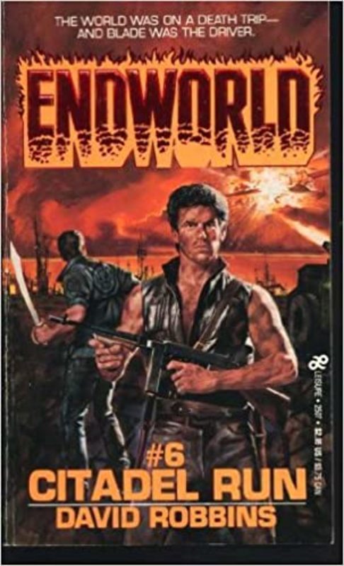 Book cover for "Citadel Run" by David Robbins