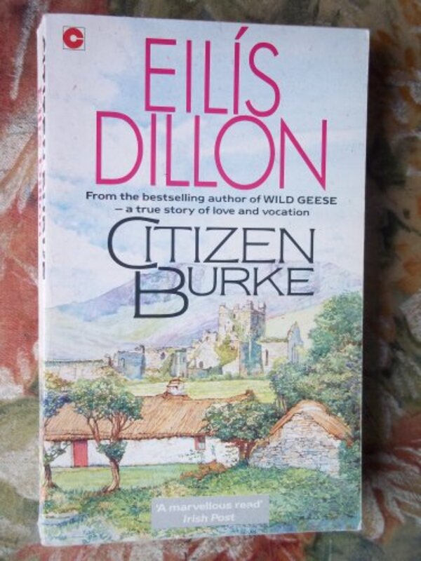 Book cover for "Citizen Burke" by Eilis DIllon