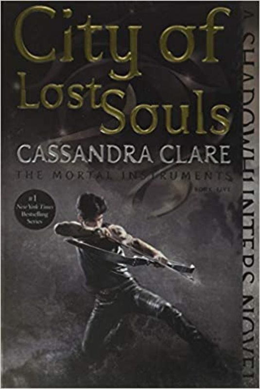 Mortal Instruments book cover
