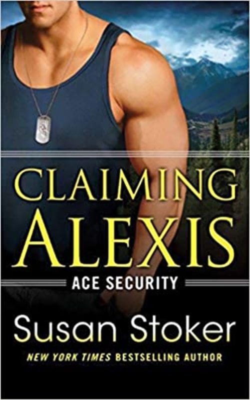 Ace Security book cover