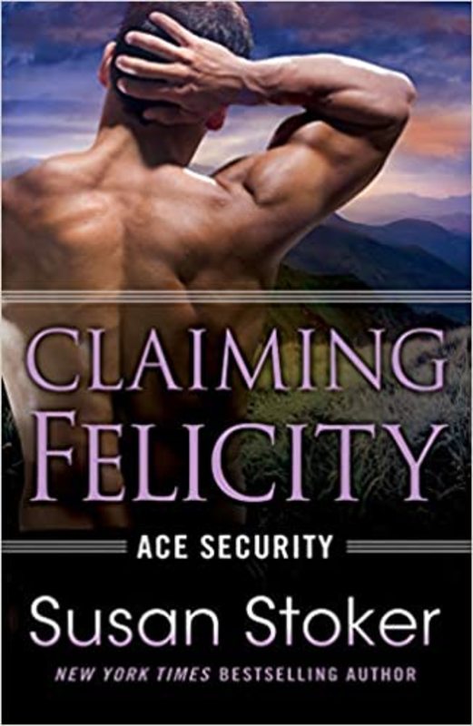 Ace Security book cover