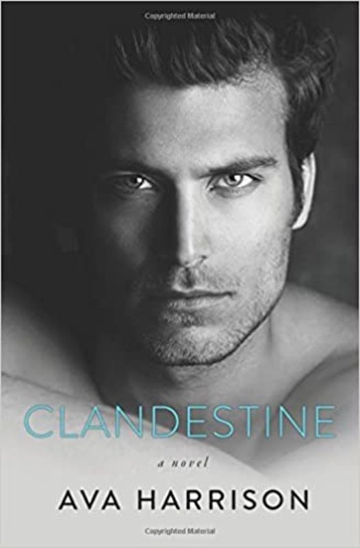 Book cover for "Clandestine" by Ava Harrison